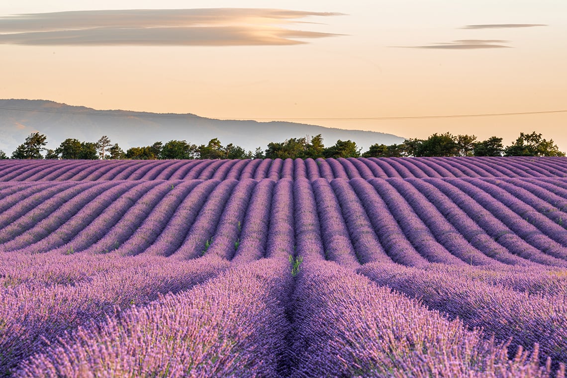 Sub 2025 aus der Provence