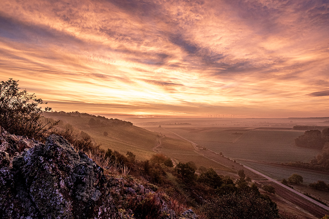 Sub 2025 aus Rheinhessen