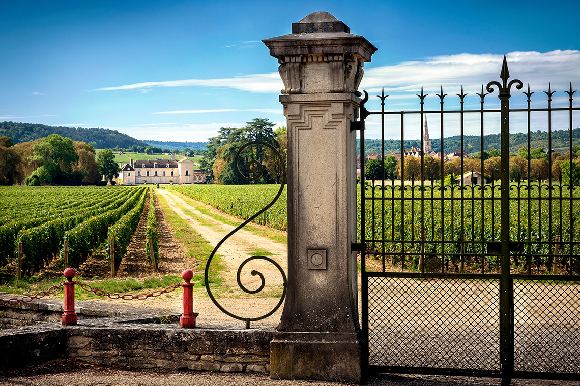 Sub 2025 aus dem Burgund