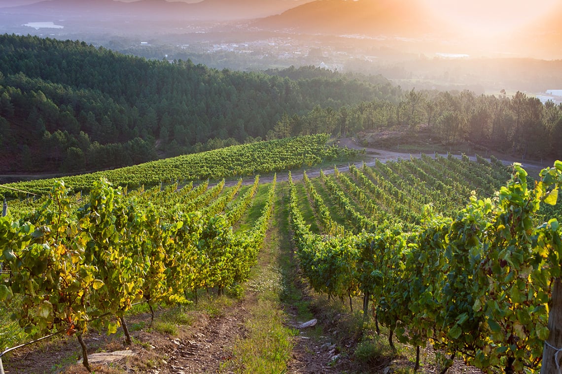 Sub 2025 aus Rias Baixas