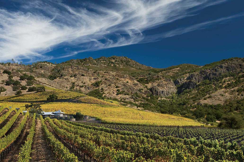 Weinfelder und Blauer Himmel Kalifornien