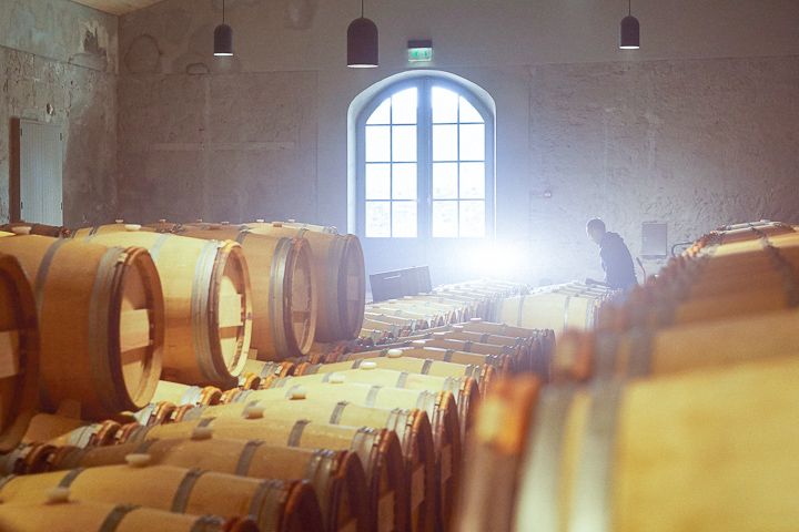 Weingut Palmer