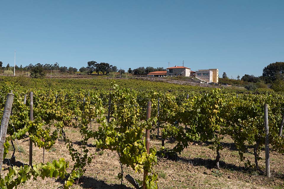 Niepoort – Bairrada