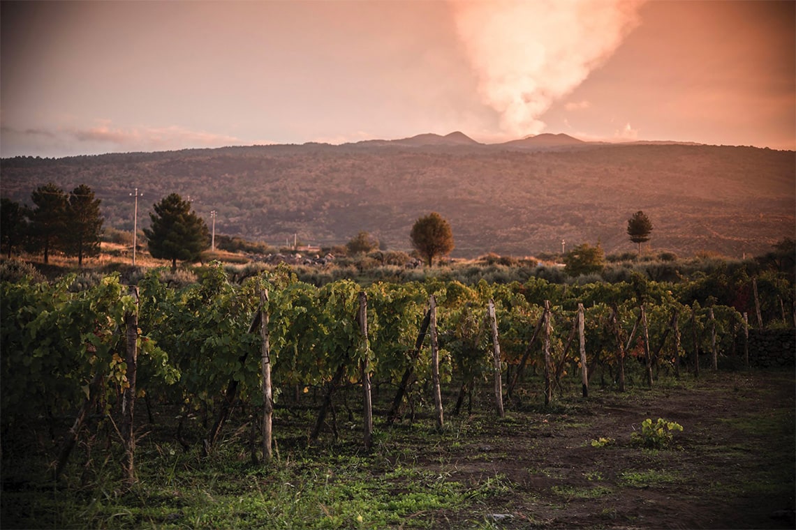 Tenuta Tascante Weingut