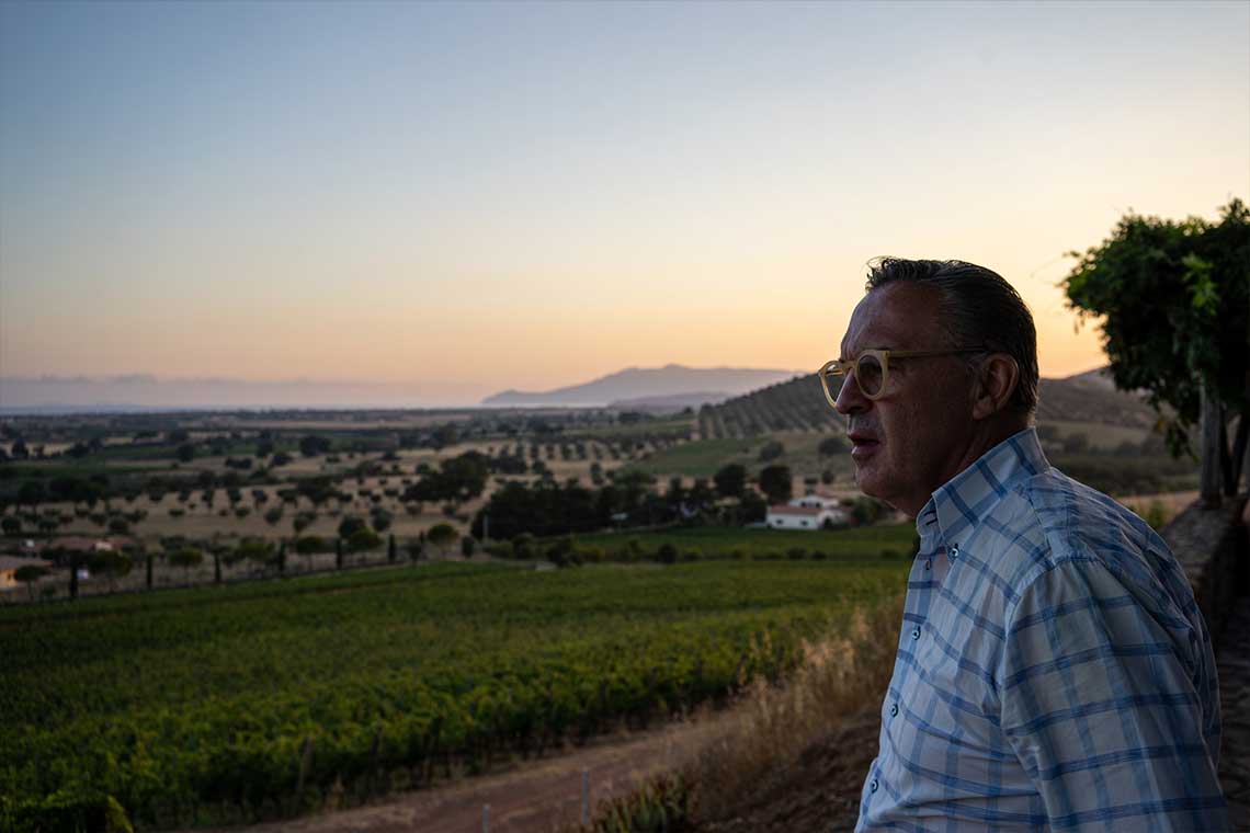 In den Weinbergen von Monteverro In den Weinbergen von Monteverro