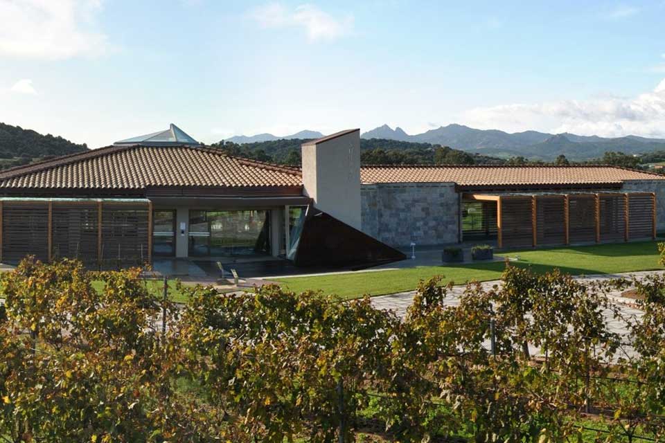 Vigne Surrau