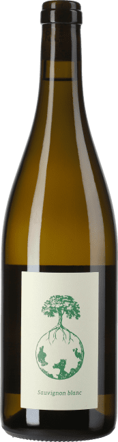 Werlitsch Sauvignon Blanc vom Opok 2019