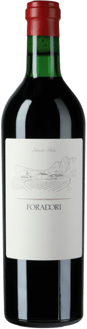 Foradori Teroldego Foradori 2021