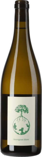 Werlitsch Sauvignon Blanc vom Opok 2020