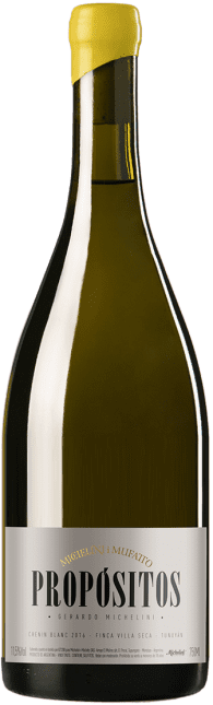 Michelini i Mufatto Mendoza Propositos Chenin Blanc 2020