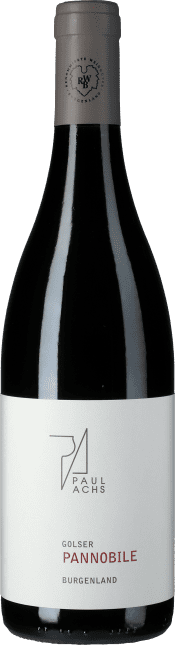 Paul Achs Pannobile rot 2020