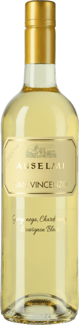 Roberto Anselmi San Vincenzo 2022