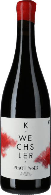 Katharina Wechsler Pinot Noir Cloudy by Nature 2021