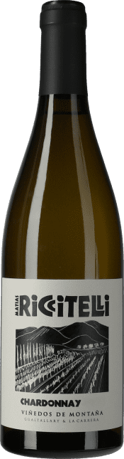 Matias Riccitelli Vinedos de Montana Chardonnay 2021