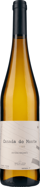 Azores Wine Company Canada do Monte 2021