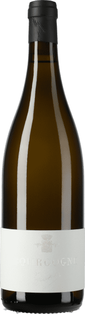 Domaine Trapet Bourgogne Blanc 2021