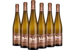 Gut Hermannsberg Sammlerbox: Riesling Reserve Großes Gewächs trocken 2019