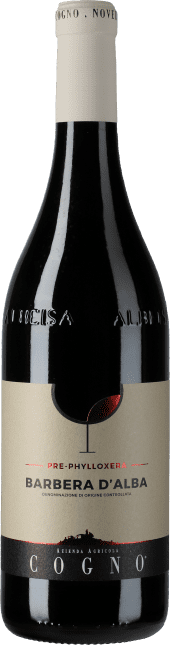 Elvio Cogno Barbera d'Alba Pre-Phylloxera 2023